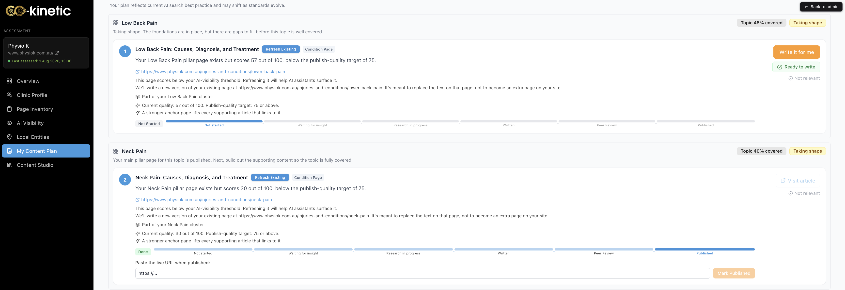 Plan items in a topic cluster: each card explains what exists, what it scores and why the action helps, with its Write it for me button and live progress stages