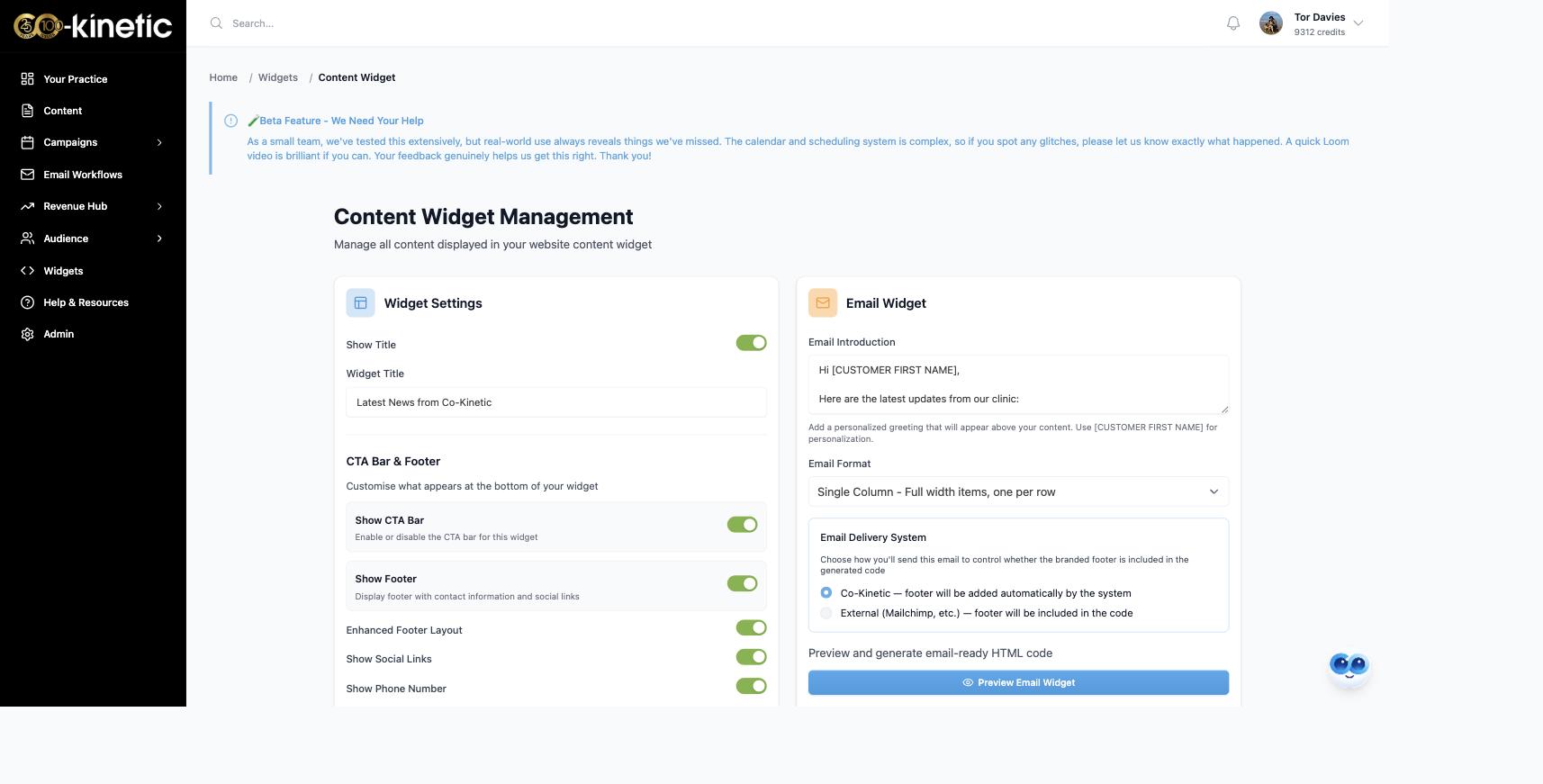 Content Widget Management: widget settings, the email widget and website widget panels