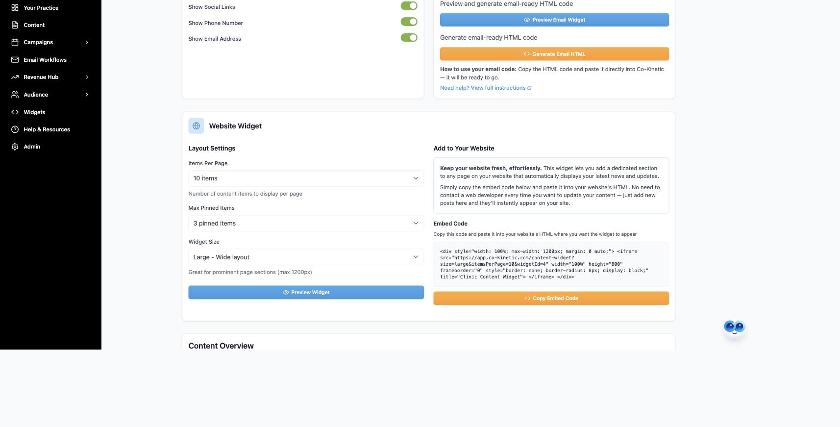 The Website Widget panel: items per page, max pinned items, widget size, and the embed code with Copy Embed Code