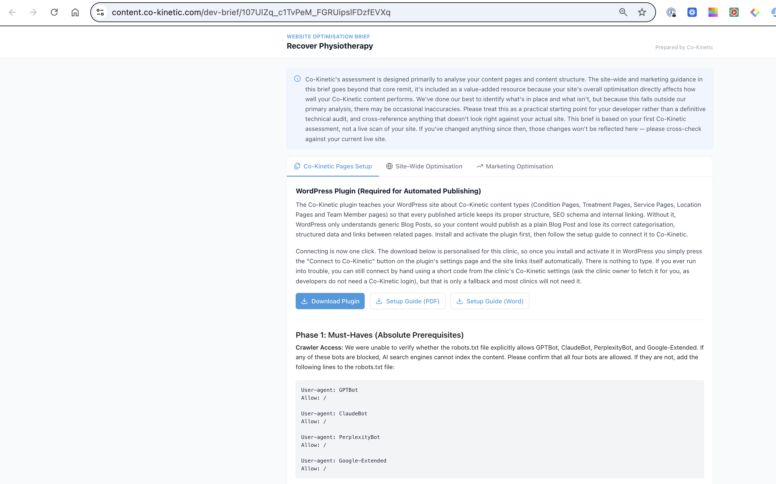 The Co-Kinetic Pages Setup tab of the brief: Download Plugin, Setup Guide (PDF) and Setup Guide (Word) buttons, with the connection explained above