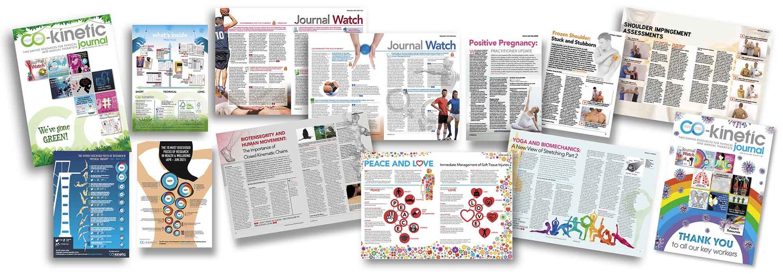 Pages from Co-Kinetic Journal, written by the profession for the profession
